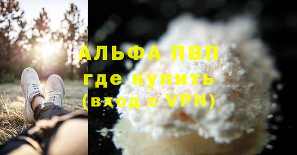 трава Аркадак