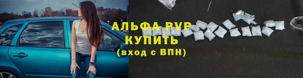 трава Аркадак