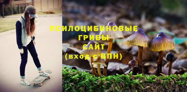трава Аркадак