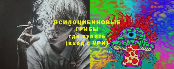 молекула духа Армянск