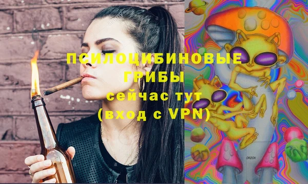 молекула духа Армянск